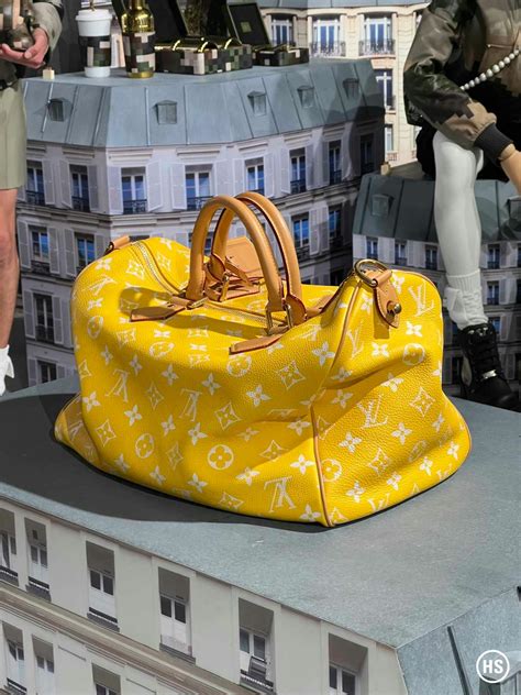 hecto miljardair louis vuitton|Louis Vuitton collection.